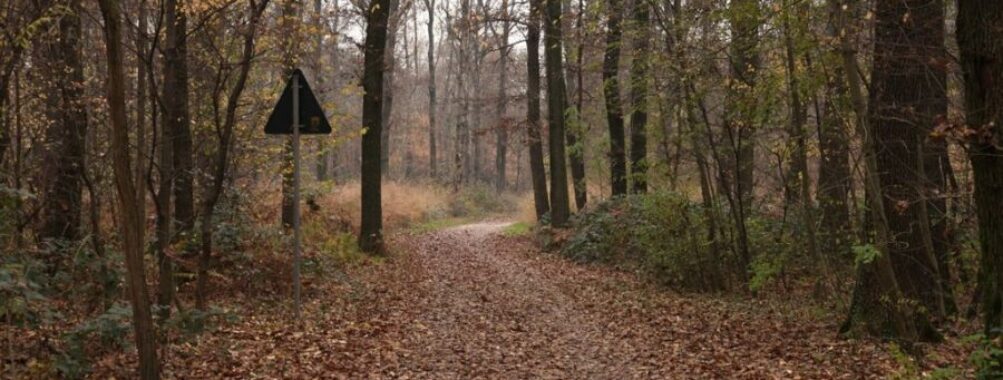 Parco delle Groane e della Brughiera Briantea