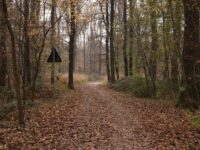 Parco delle Groane e della Brughiera Briantea