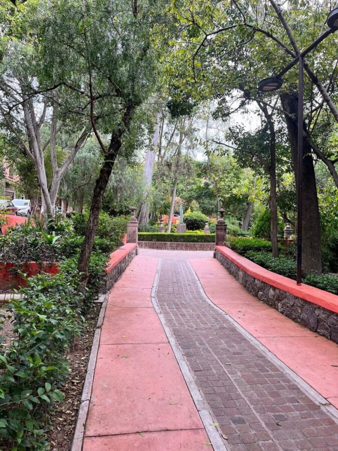 Peaceful path in Parque Benito Juárez, lined with trees and colorful bushes, inviting visitors to stroll.