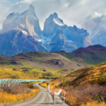 Majestic peaks of Los Kuernos over Lake Pehoe. On a dirt road is worth guanaco - Lama. The national park Torres del Paine, Patagonia, Chile
