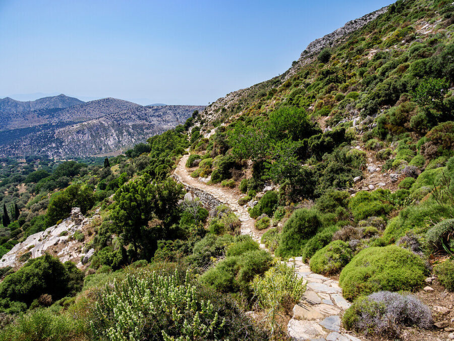 Scenic hiking trail to Mount Zas, lush greenery, Naxos, Cyclades, Greece.