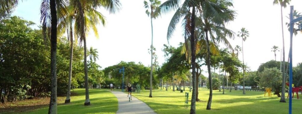 Peacock Park Miami