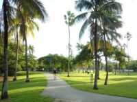 Peacock Park Miami