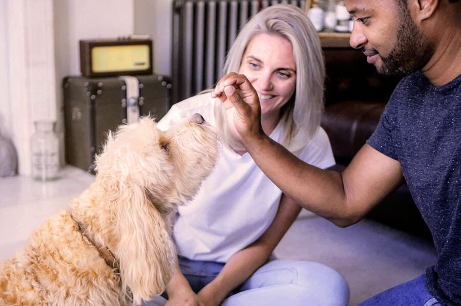 Couple bonding with fluffy dog in cozy living room, joyful pet interaction captured.