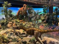 Petrosains, The Discovery Centre