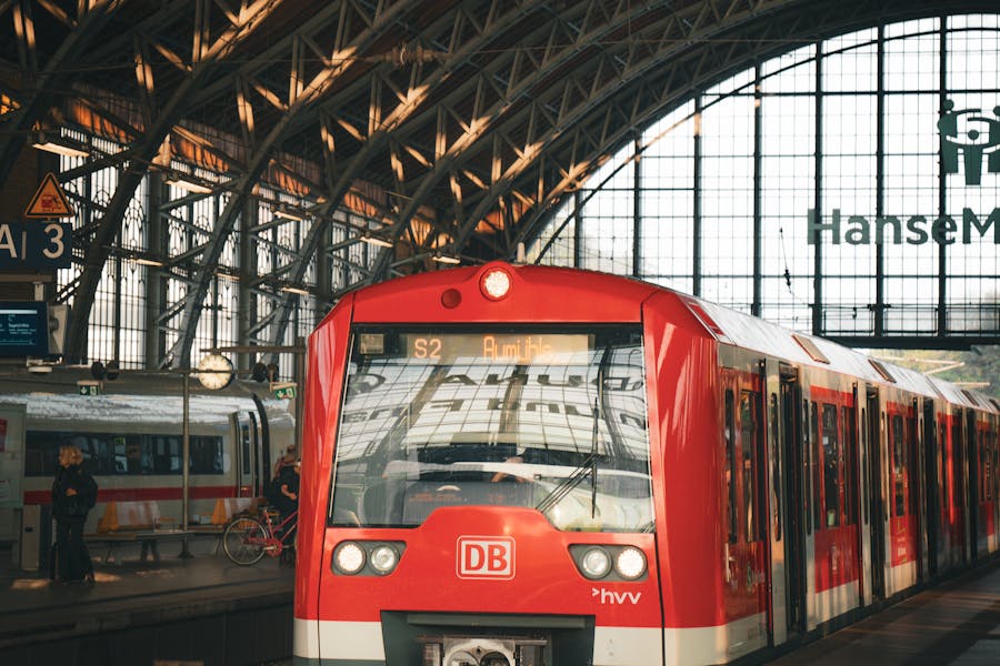 pexels buxteh 28548855
