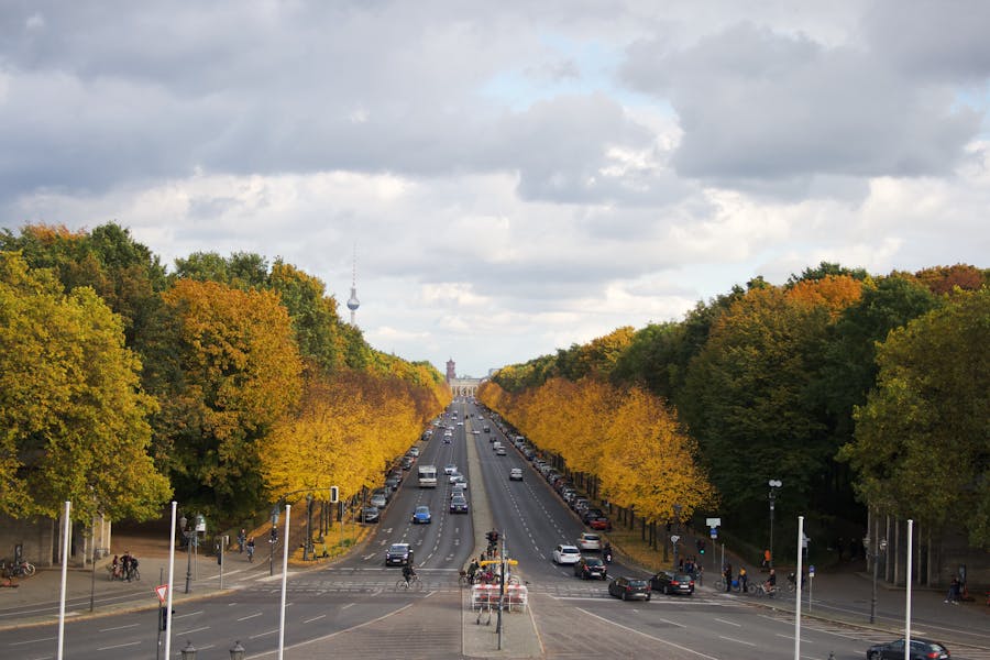 Tiergarten 