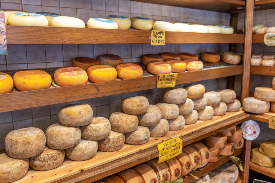 Cheese cellar in a Pienza, Italy shop, showcasing various artisanal cheeses on wooden shelves.
