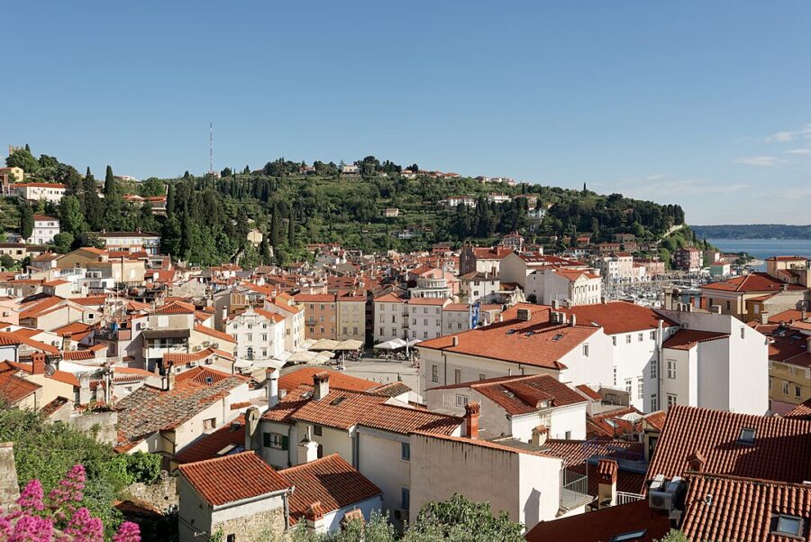 Scenic panorama of Piran, Slovenia, highlighting a city adorned with vibrant red rooftops.