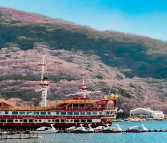 Where to Stay in Hakone: Best Areas & Hotels for Every Budget