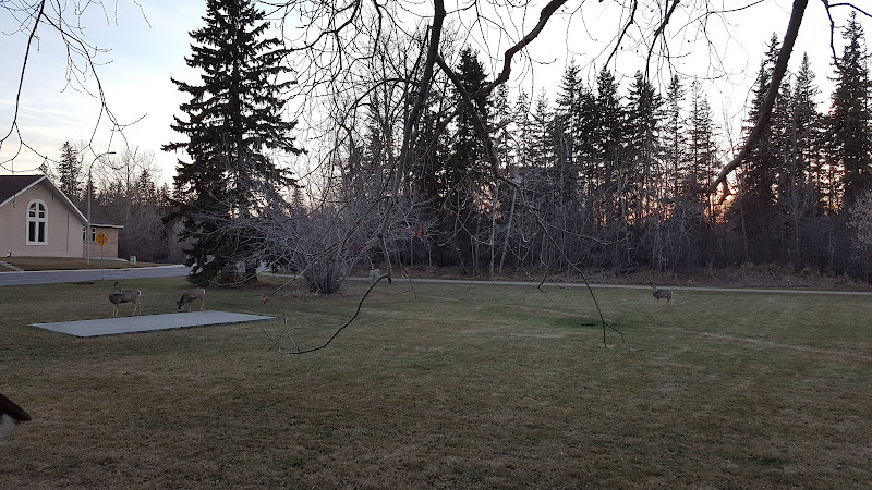 Galbraith Park