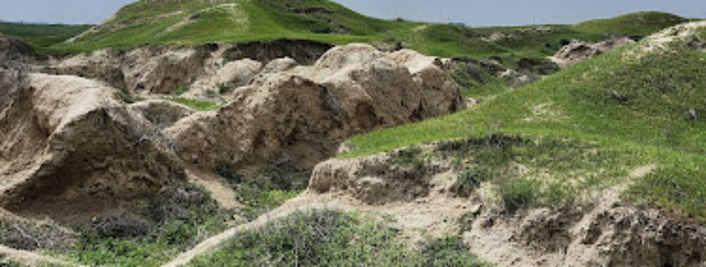Afrasiyab Settlement