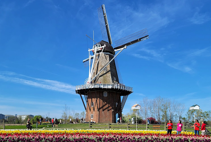 De Zwaan