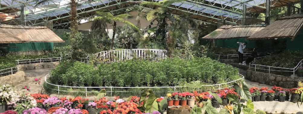 Flower Exhibition Centre – Ridge Park.