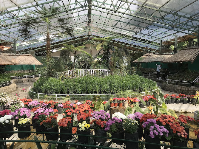 Flower Exhibition Centre – Ridge Park.