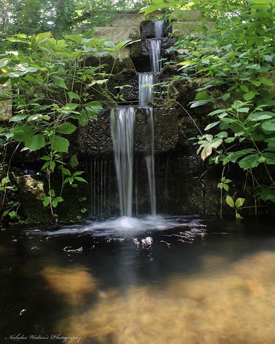 Paul E. Stry Nature Preserve