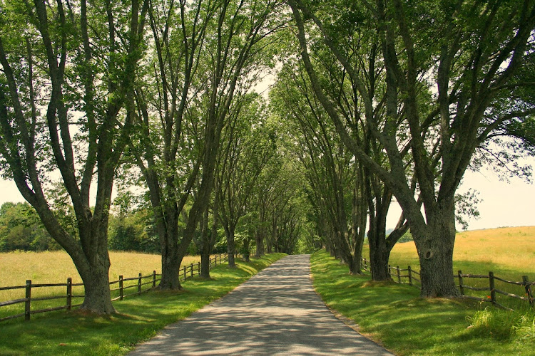 James Monroe’s Highland