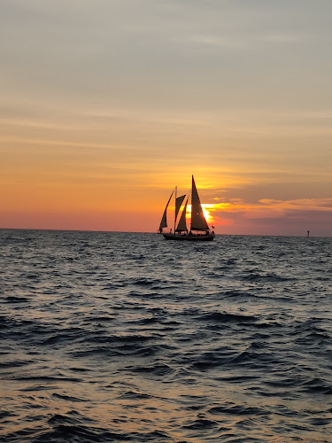 ParrotDise Express Boat Tours