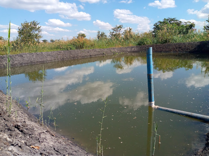 Aquazone: Chipata-Zambia