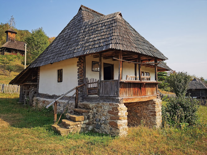 Muzeul Satului Vâlcean
