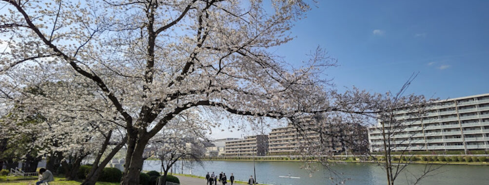 Saitama Prefectural Toda Park