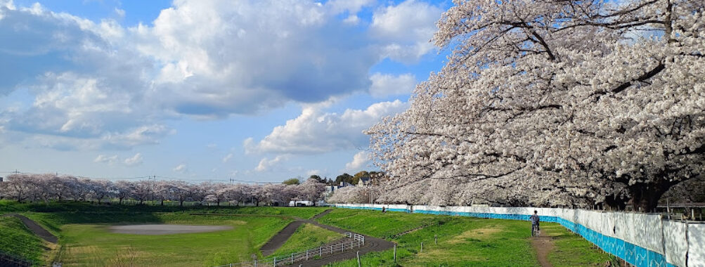 Owada Park