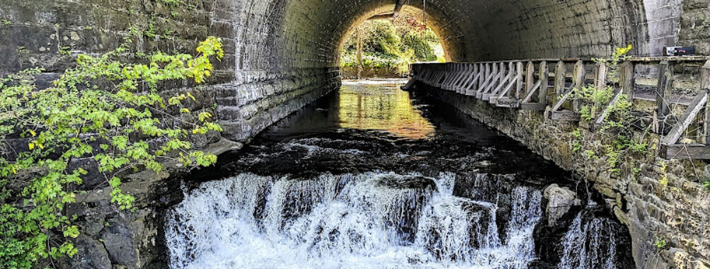 Corbett’s Glen Nature Park