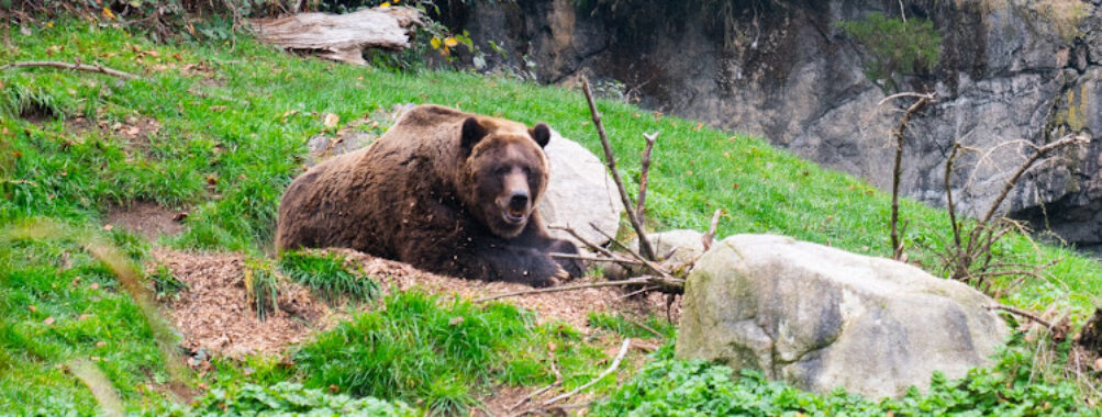 Woodland Park Zoo