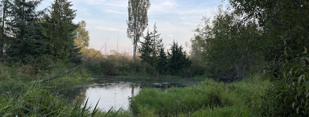 Scriber Creek Park