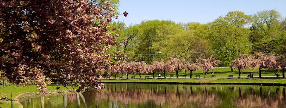 Third Ward Park