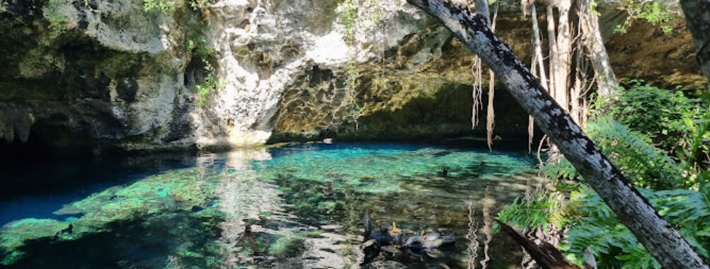 Gran Cenote