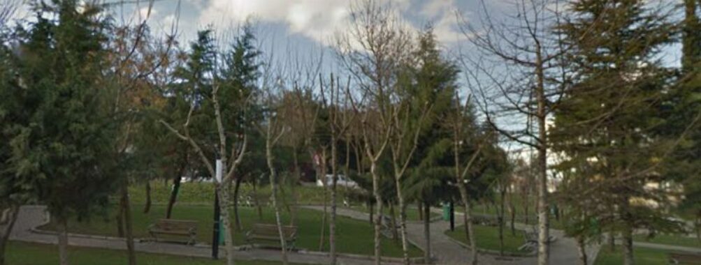 Şehir Parkı
