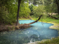 Parco Lavino