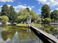 Swan Pond