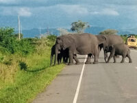 Queen Elizabeth National Park