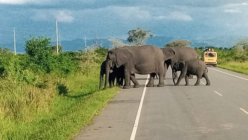 Queen Elizabeth National Park