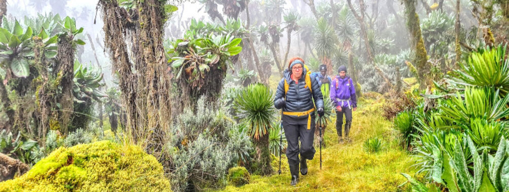 RWENZORI MOUNTAINEERING SERVICES LTD