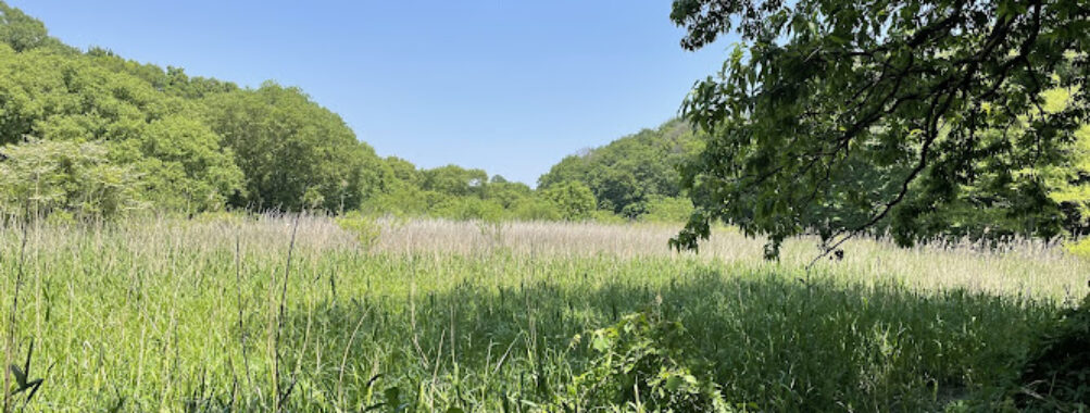 Kitamoto Nature Observation Park
