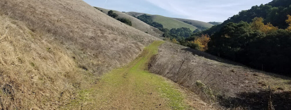 Dry Creek Park