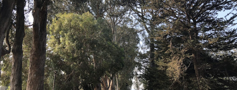 Orange Memorial Park