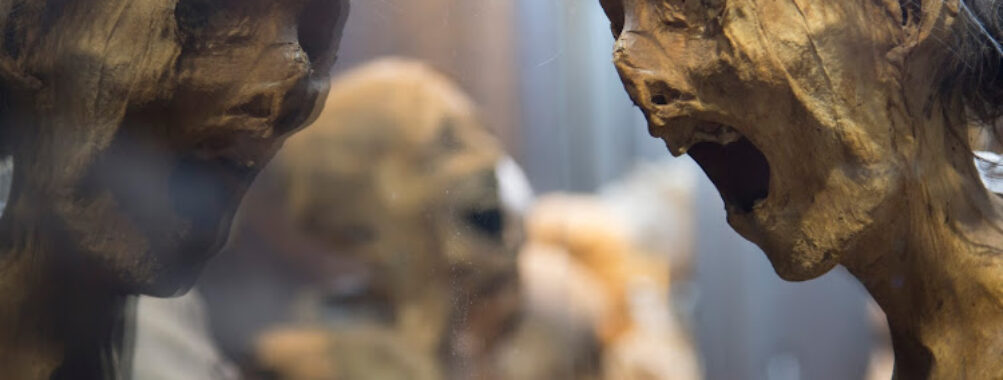 Museum of the Mummies of Guanajuato