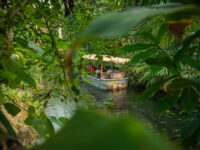 Wildlands