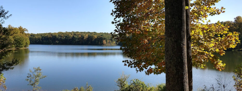 Kingfisher Overlook
