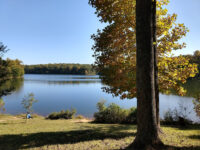 Kingfisher Overlook