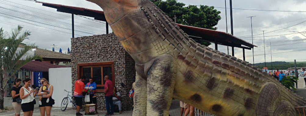 Fair Alligator Craft