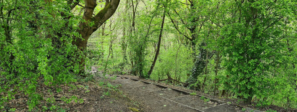 Saltwells Local Nature Reserve