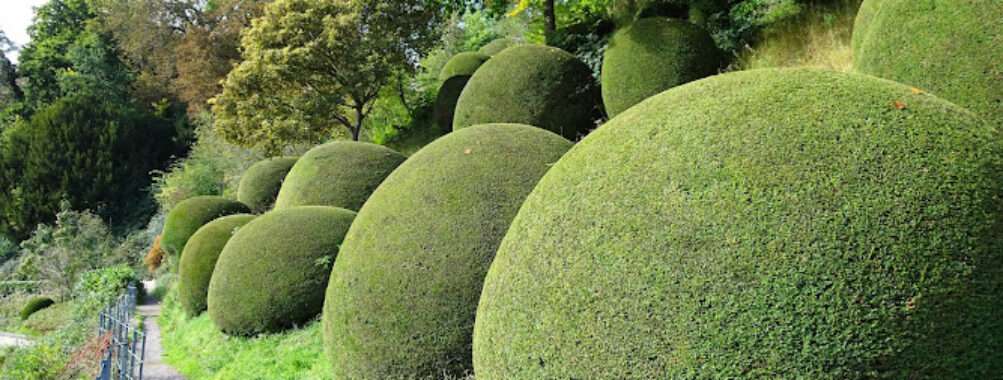 National Trust – The Weir Garden