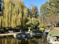 Kelley Park