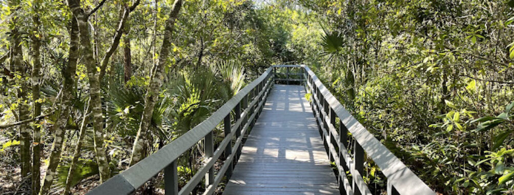 Fern Forest Nature Center