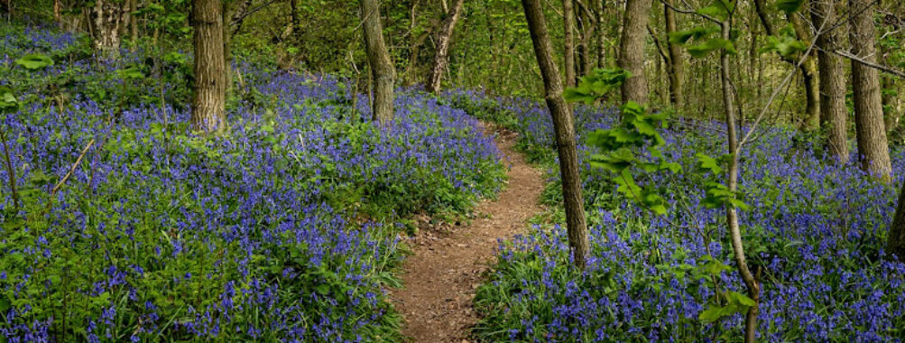 Outwoods, Leicestershire